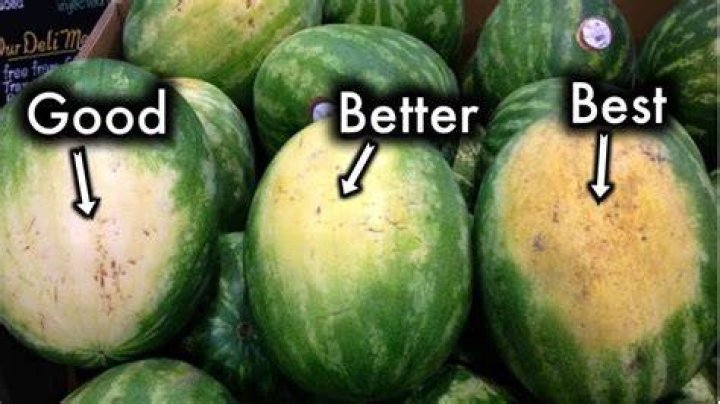 What is the sweetest watermelon?