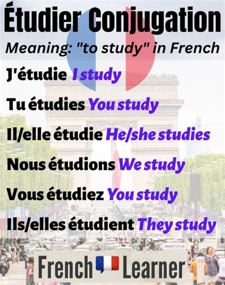 What is the verb to study in French?