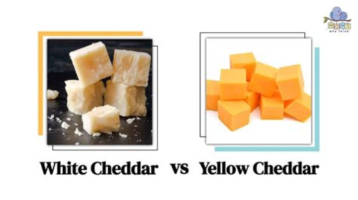 What is the white fish at Cheddar’s?