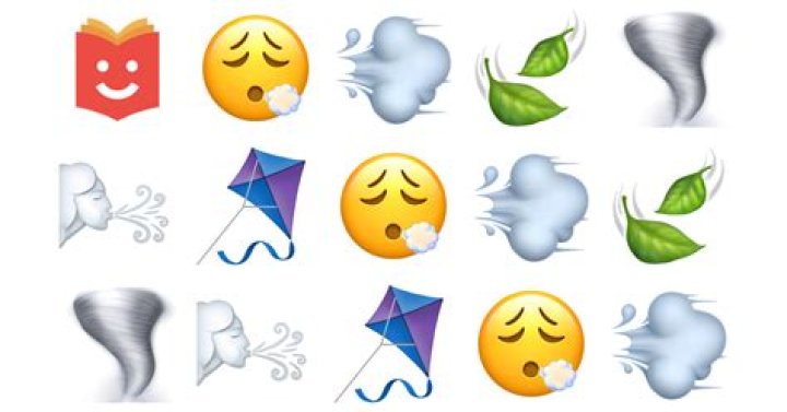 What is the wind emoji?
