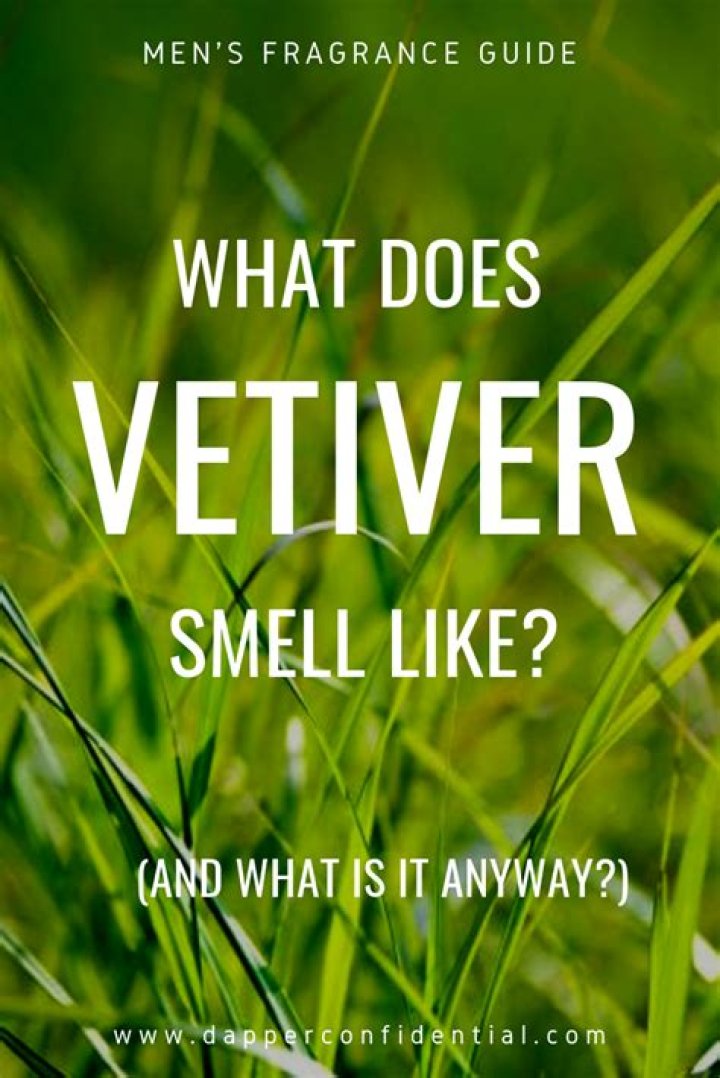 What is Vetiver smell like?