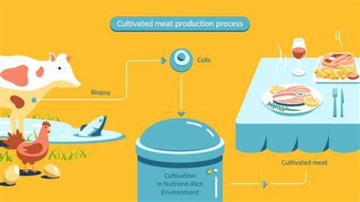 What is Vito meat made of?