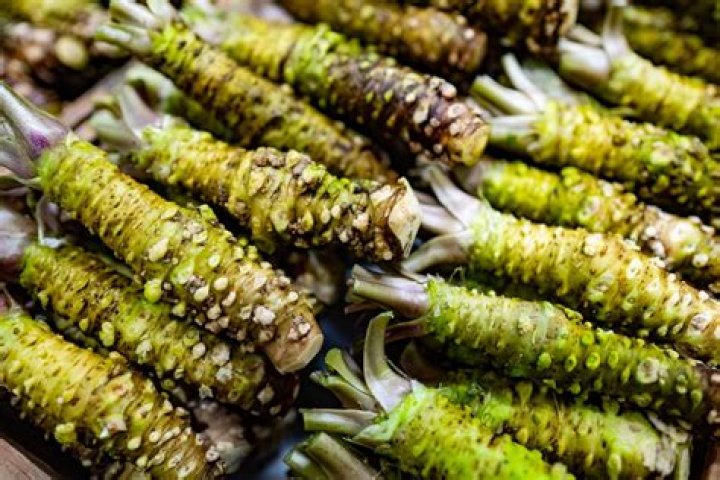 What is wasabi made of?