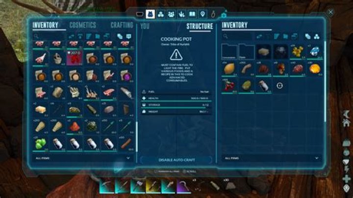 What kibble do gigas eat?
