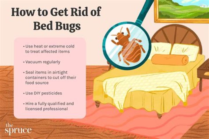 What kills bed bugs instantly?