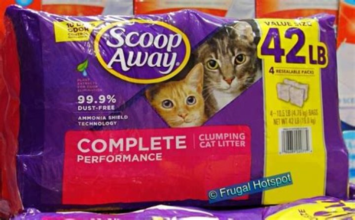 What kind of cat litter does Costco sell?