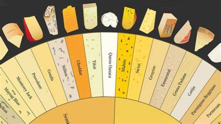 What kind of cheese is similar to Muenster?