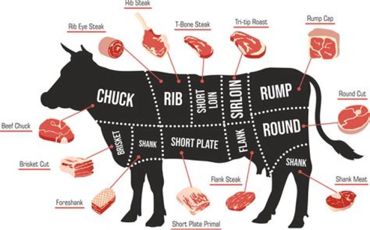 What kind of meat does Steak n Shake use?