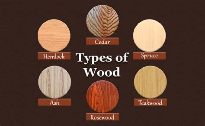 What kind of wood can Rabbits not have?