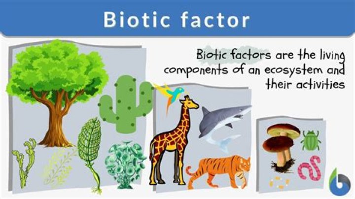What makes a tree biotic?
