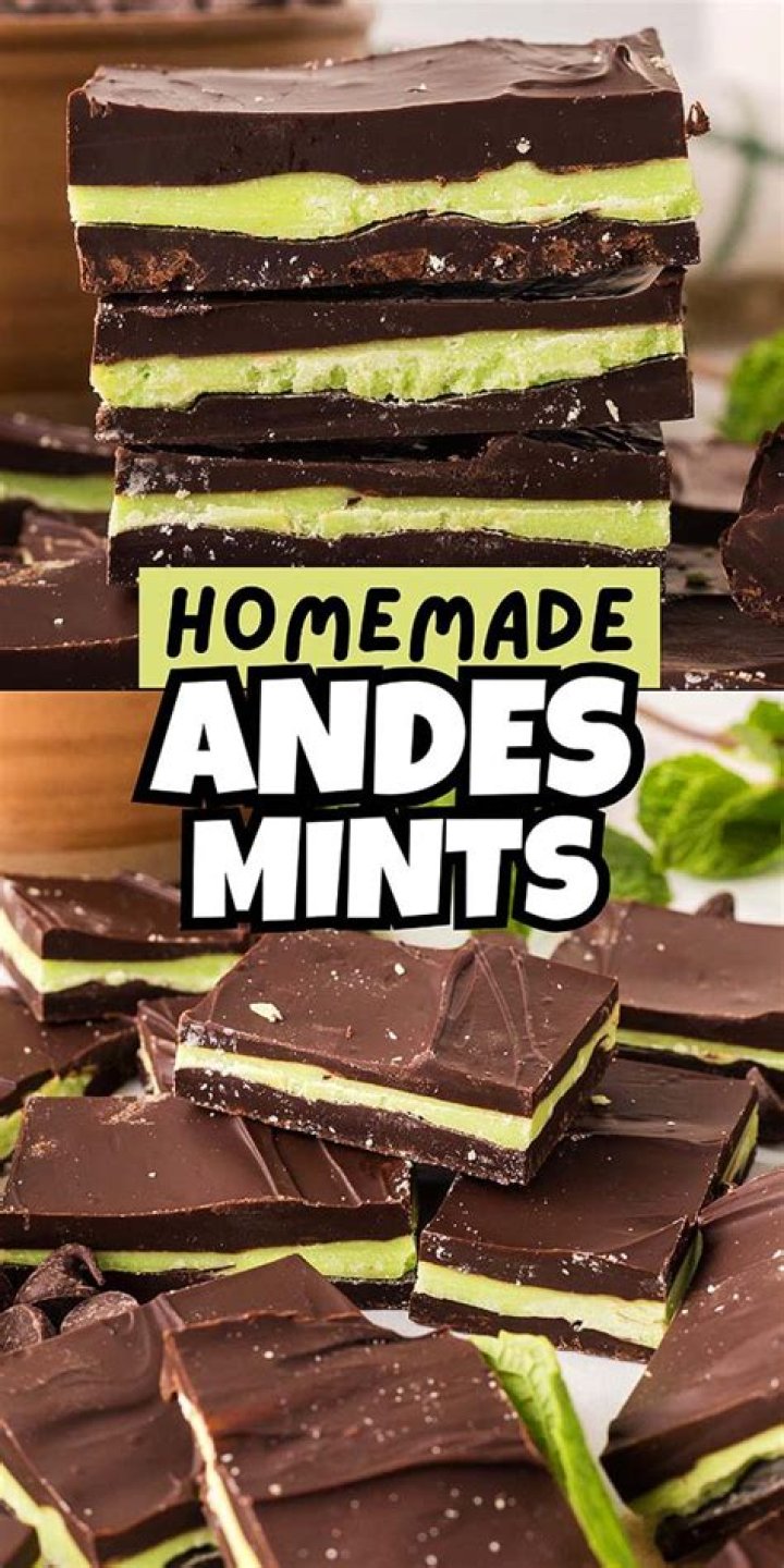 What mint is used in Andes Mints?