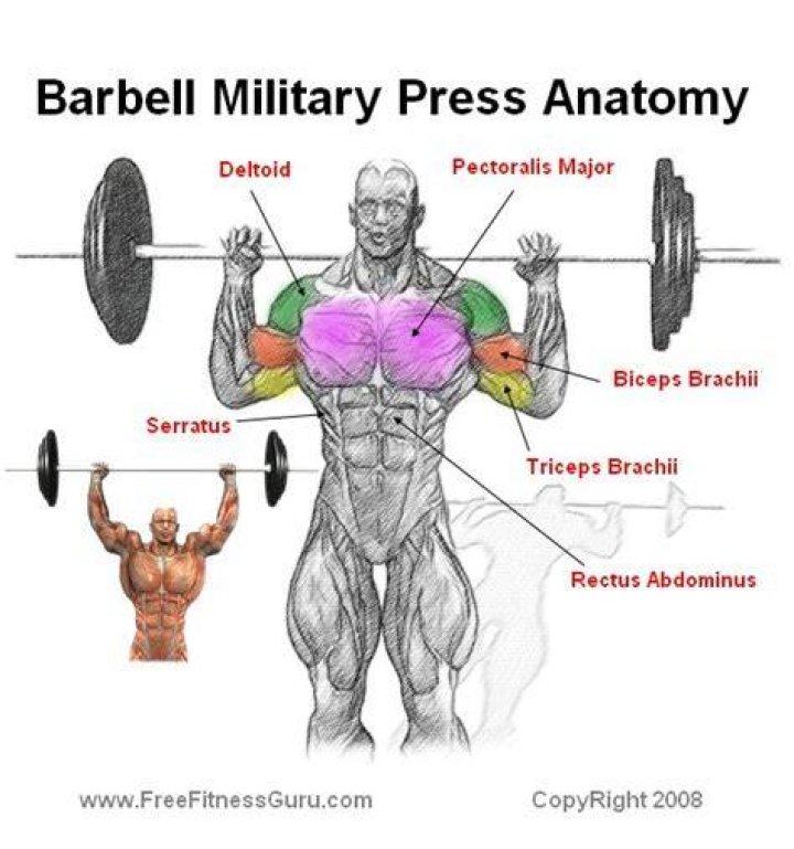 What muscles does the standing military press work?