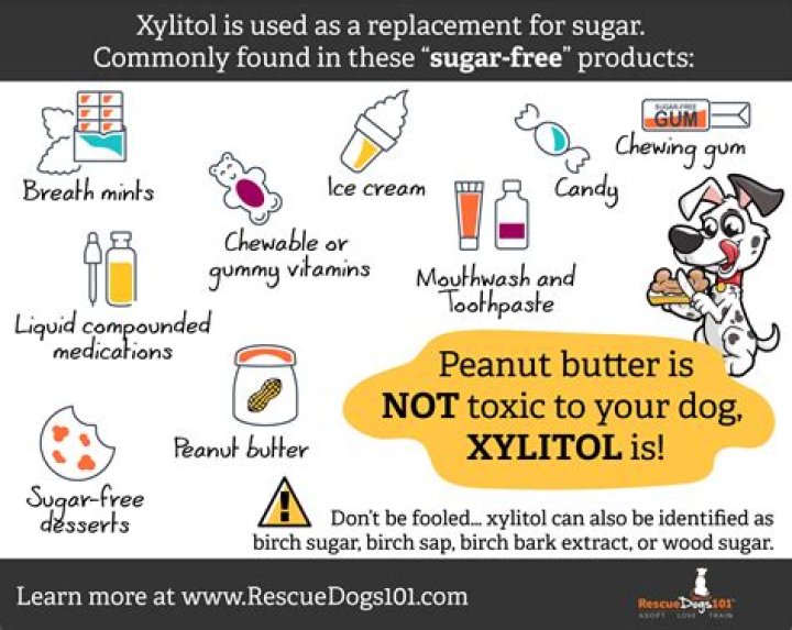 What peanut butter has xylitol?