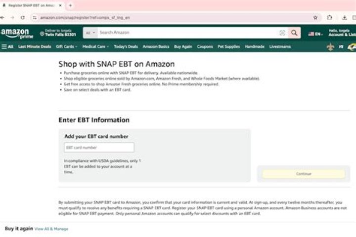 What products on Amazon accept EBT?