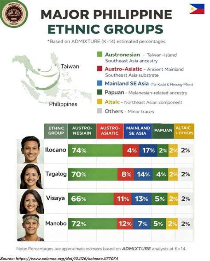 What race does Filipino fall under?