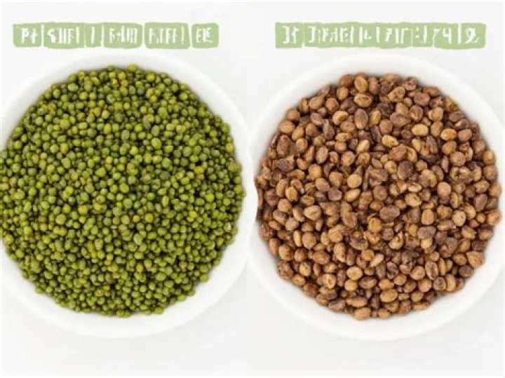 What’s the difference between canned lentils and dry?