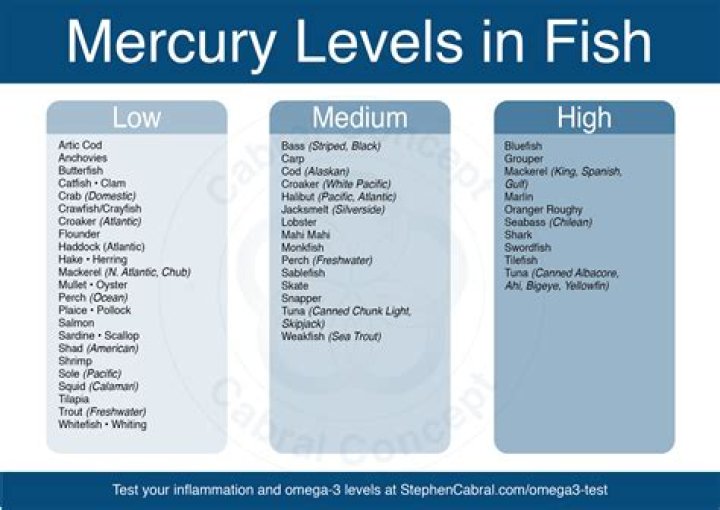 What seafood is high in mercury?