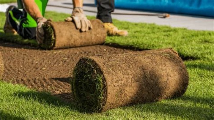 What should you not do when laying sod?