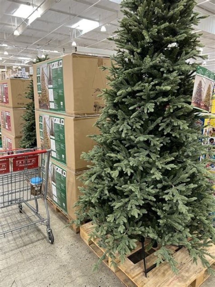What size are Costco Christmas trees?