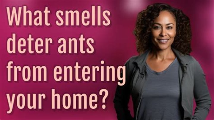 What smells deter ants?