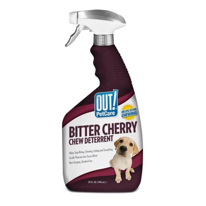 What smells deter dogs chewing?