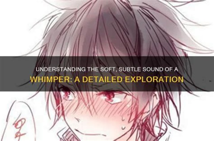 What sound is á?