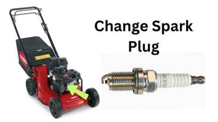 What spark plug does a Toro Recycler 22?