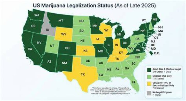 What states is it legal to have Underglow?