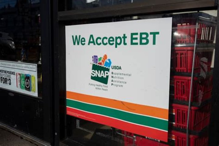 What stores accept SNAP EBT in New York?