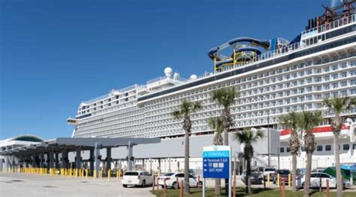 What terminal is Norwegian at Port Canaveral?