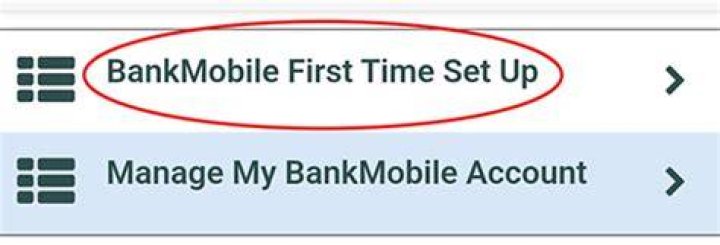 What time does BankMobile vibe deposit refunds?