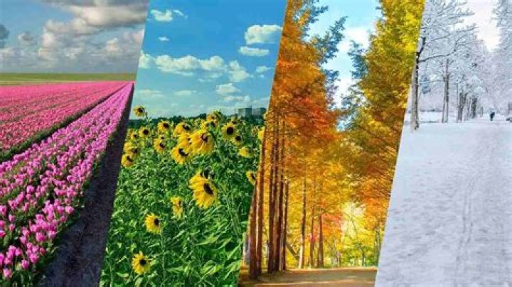What US states have 4 seasons?