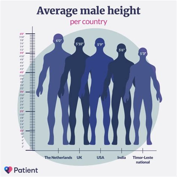 What was the average male height in 1940?