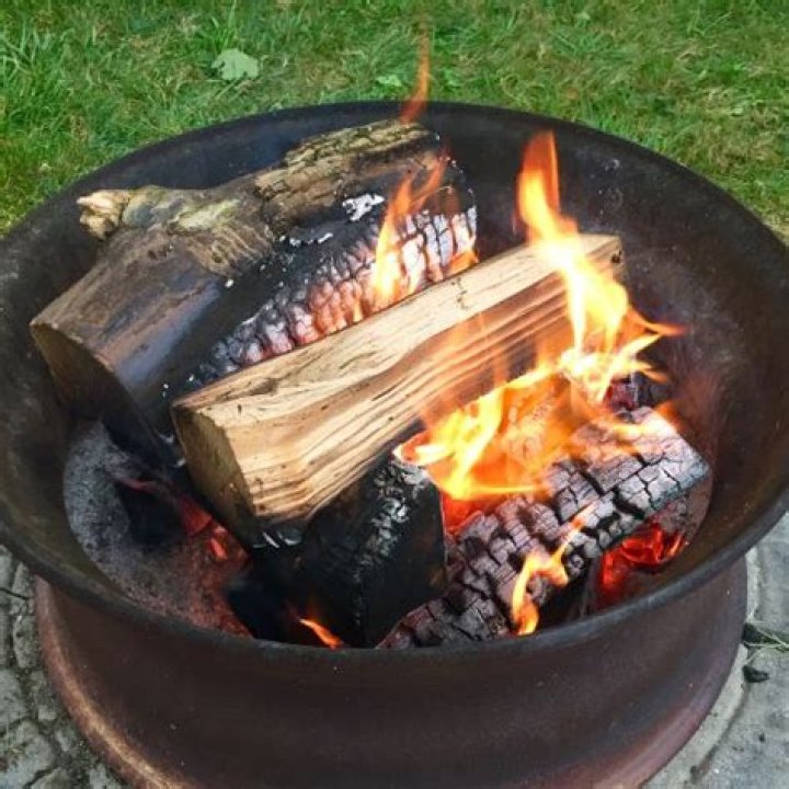 What wood should you not burn in a fire pit?