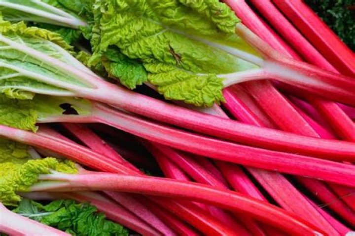 When can you not eat rhubarb?