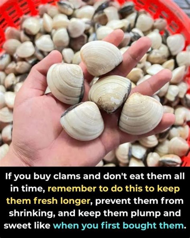 When should you not eat clams?