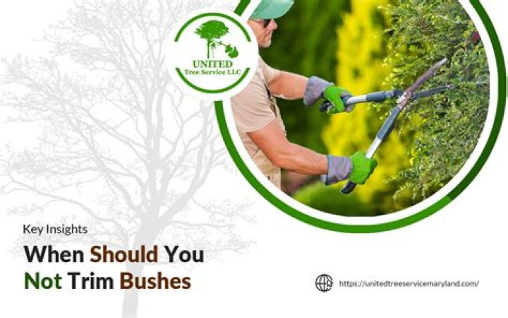When should you not trim bushes?