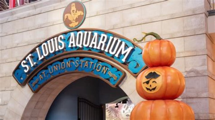 When was the last time it snowed on Halloween in St Louis?