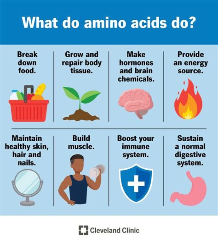Where are amino acids in the store?