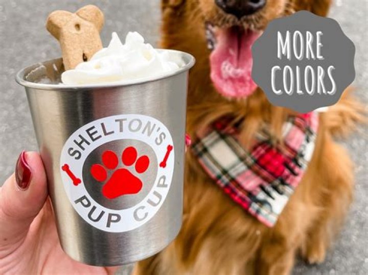 Where can I get a pup Cup?
