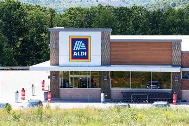 Where did Aldis originate?