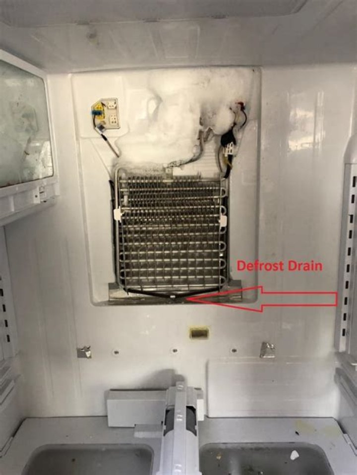 Where is drain tube on refrigerator?