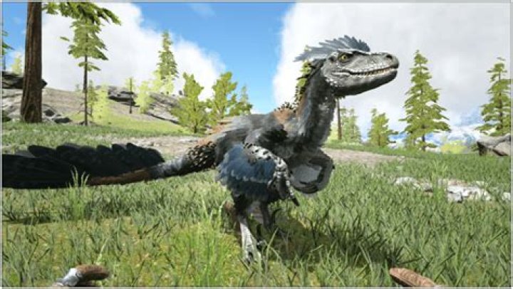Where is the Deinonychus saddle? Archives | PopularAsk.net