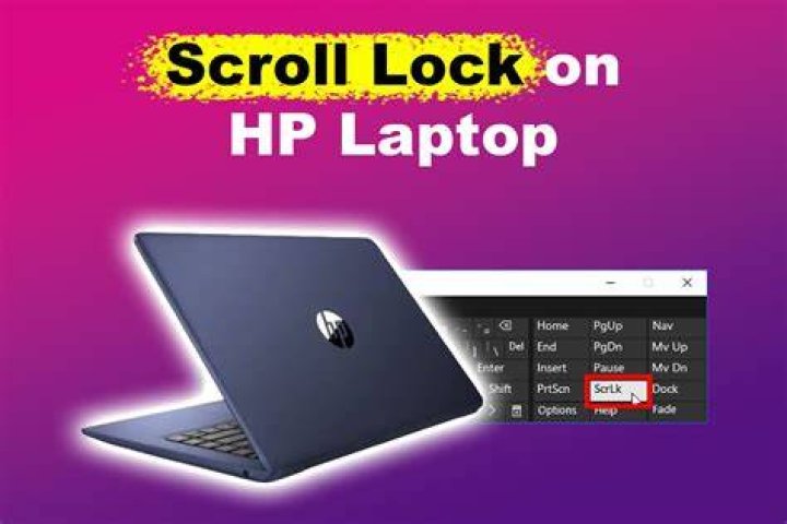 Where is the Scroll Lock key on HP Elitebook?