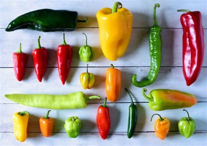 Which bell pepper is spicy?