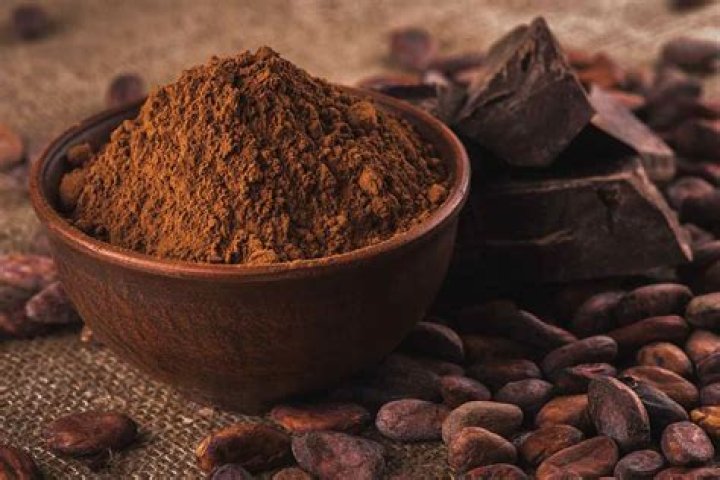 Which cocoa powder is the healthiest?