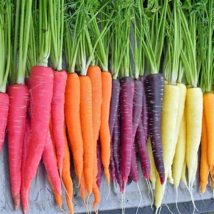 Which color carrot is the healthiest?