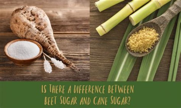 Which is healthier beet sugar or cane sugar?