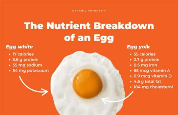 Which is more nutritious egg white or yolk?