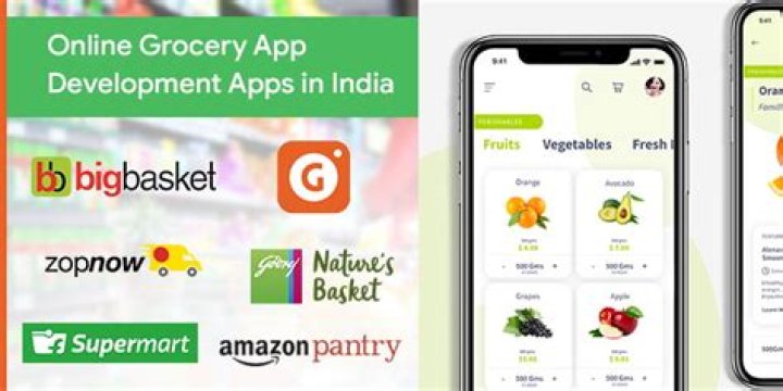 Which is the best online grocery shopping app in India?